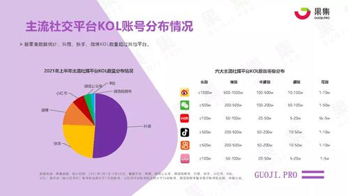 2021年上半年社交電商行業分析報告 基于果集數據與互聯網數據的洞察